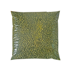 SEMILLA DE ZAPALLO 5KG