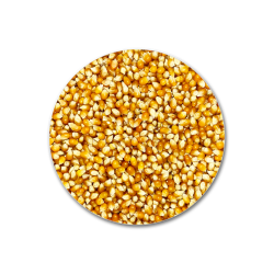 MAIZ MUSHROOM SACO 25KG