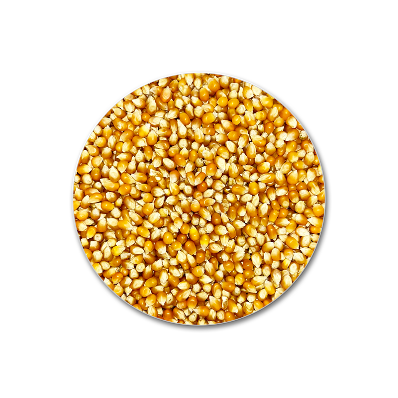 MAIZ MUSHROOM SACO 25KG
