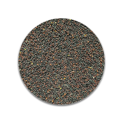 RAPS SACO 25 KG