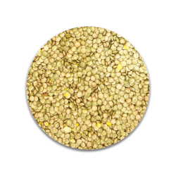LENTEJA 6MM SACO 25KG