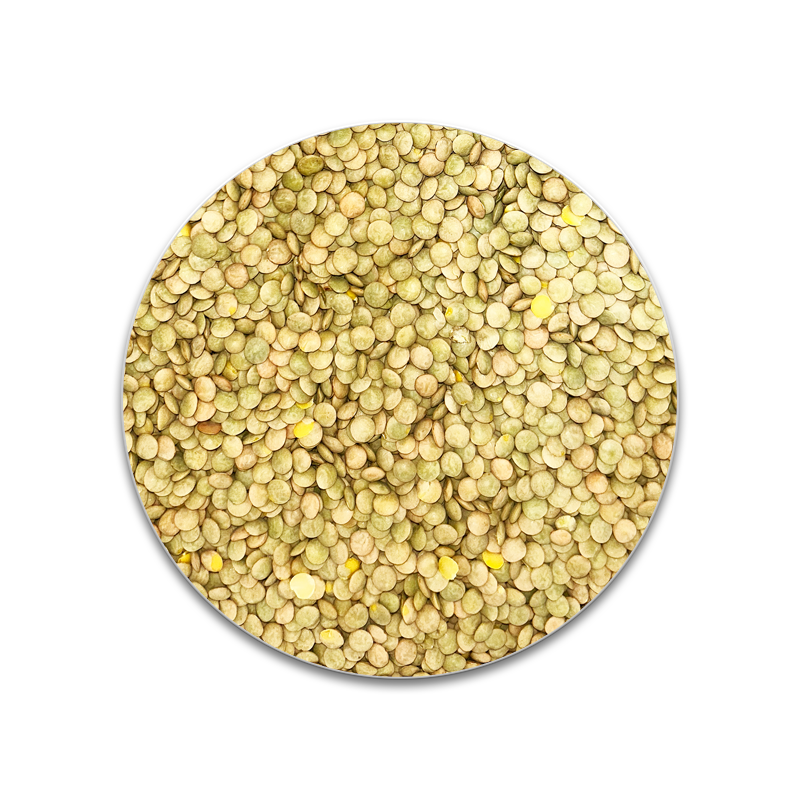 LENTEJA 6MM SACO 25KG