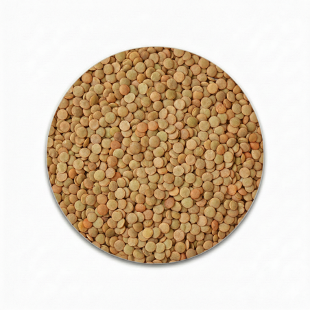 LENTEJA 4MM SACO 25KG |HVStore