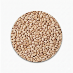 Poroto Hallado Saco 25Kg | HVStore