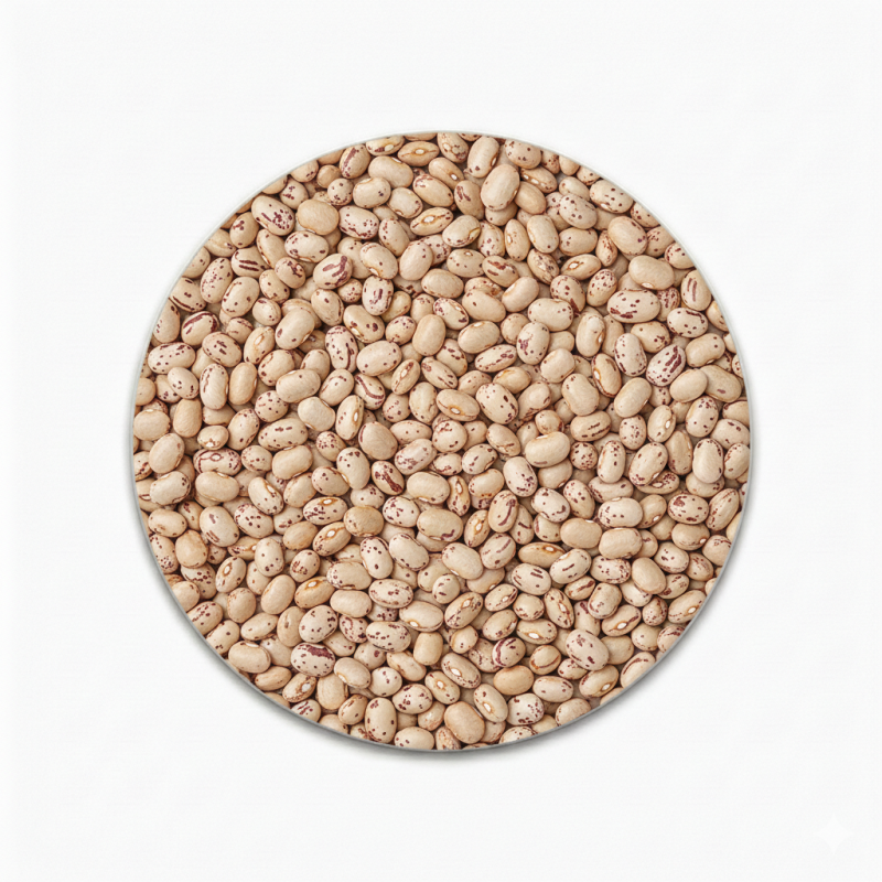 Poroto Hallado Saco 25Kg | HVStore