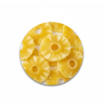 PIÑA DESHIDRATADA EN RODAJAS CAJA 20KG | Hvstore