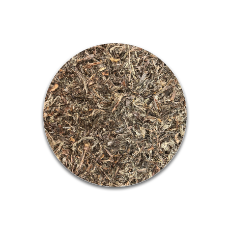 Té Ceylan OP112 Premium Caja 20kg | $240.023 | HVStore