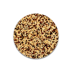 Quinoa Tricolor Saco 25 KG