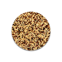 QUINOA TRICOLOR SACO 25 KG
