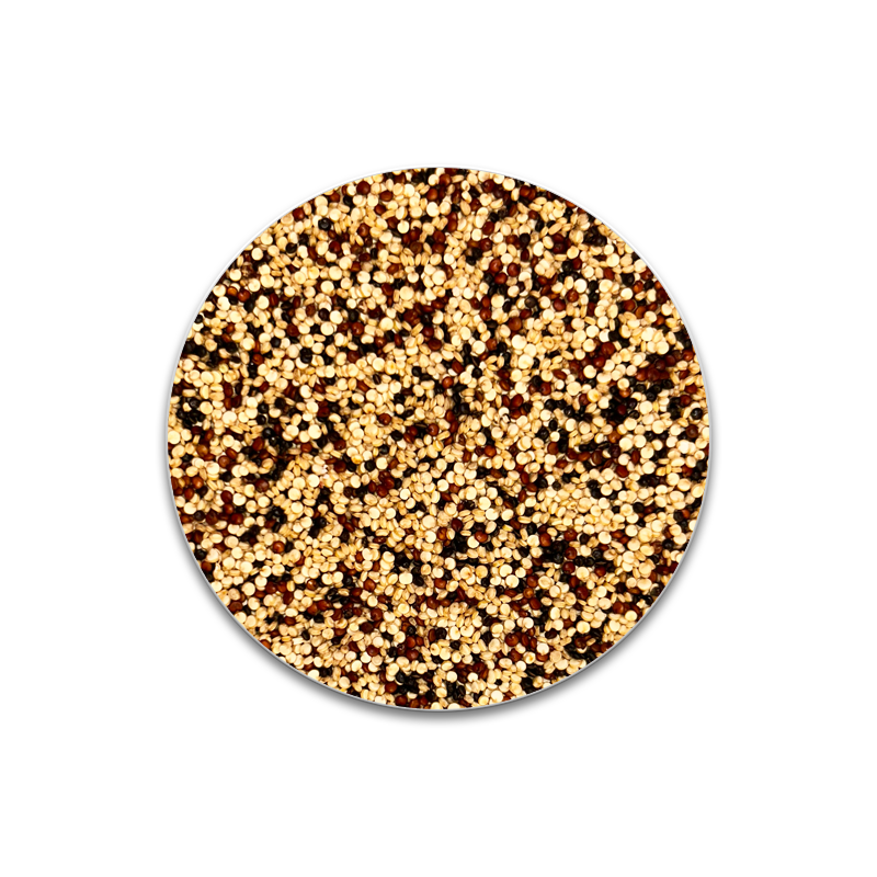 QUINOA TRICOLOR SACO 25 KG
